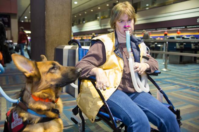 Amy Graves, accompanied by her service dog, Kharma, check in at McCarran International Airport and await their flight to Fort Lauderdale, Fla., Thursday Feb. 5, 2014.  Graves, who suffers from muscular dystrophy, was refused a seat by Virgin Air on her original flight because of her ventilator.